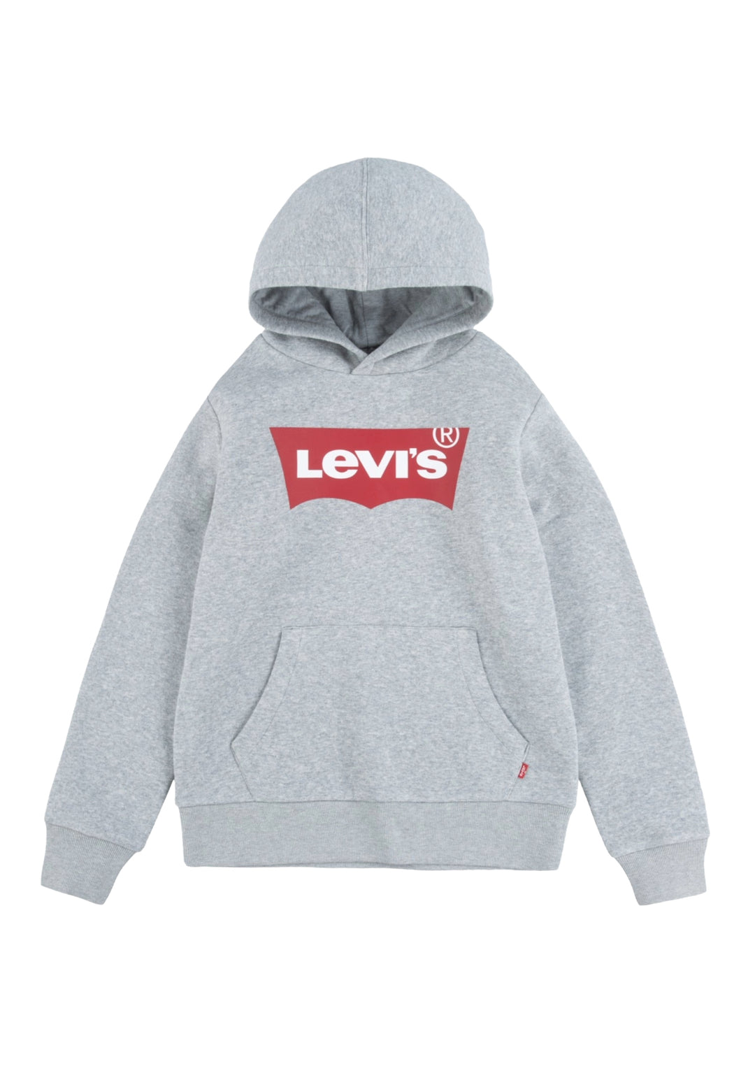 Sudadera con capucha gris para niño