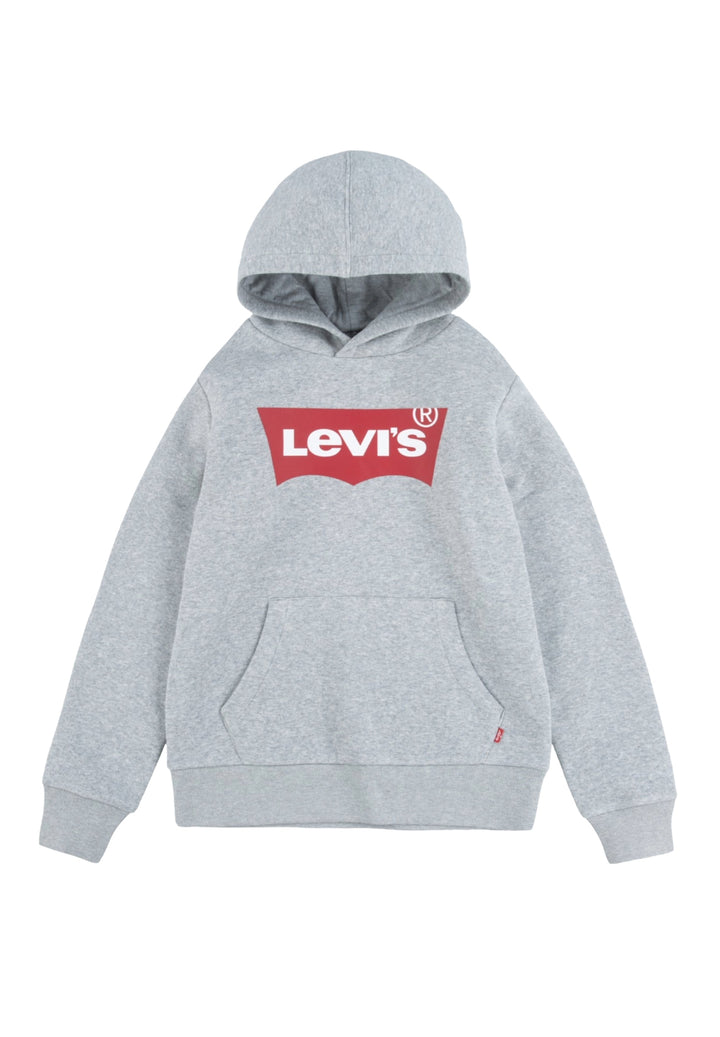 Sudadera con capucha gris para niño