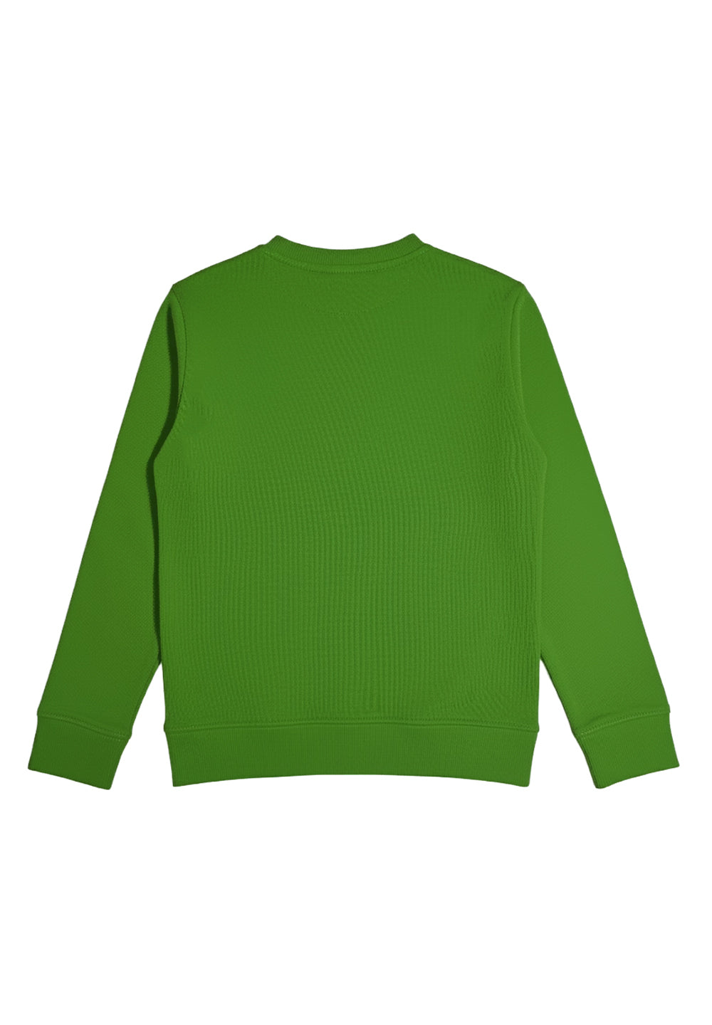 Grünes Sweatshirt mit Rundhalsausschnitt für Kinder