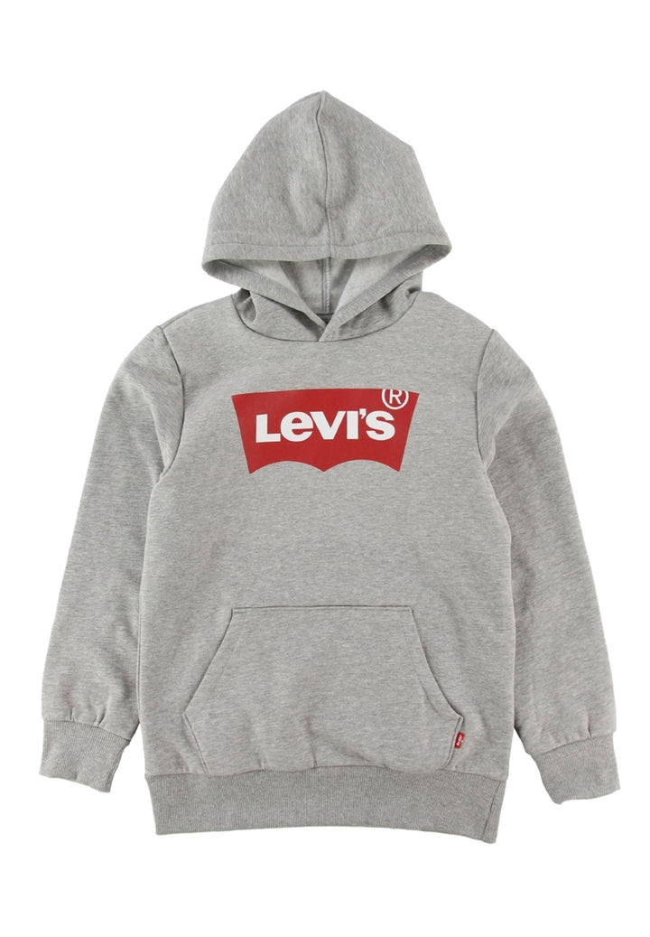 Sudadera con capucha gris para niño