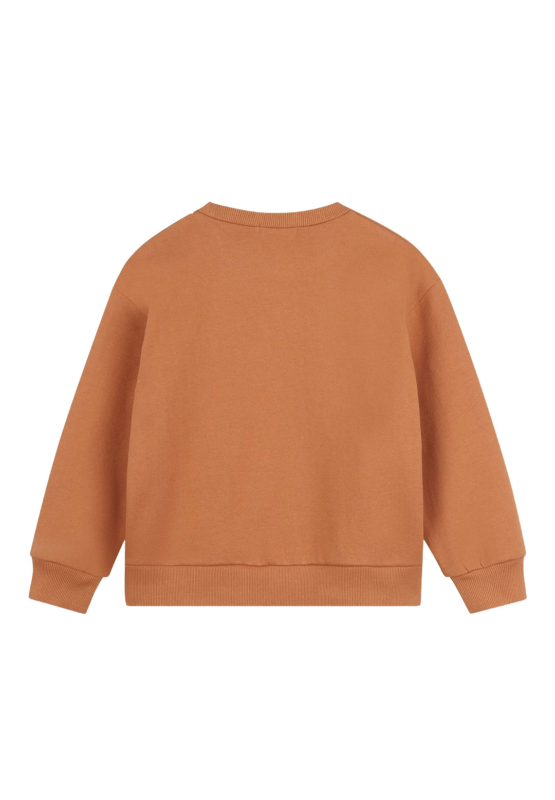 Sudadera de cuello redondo marrón para niño