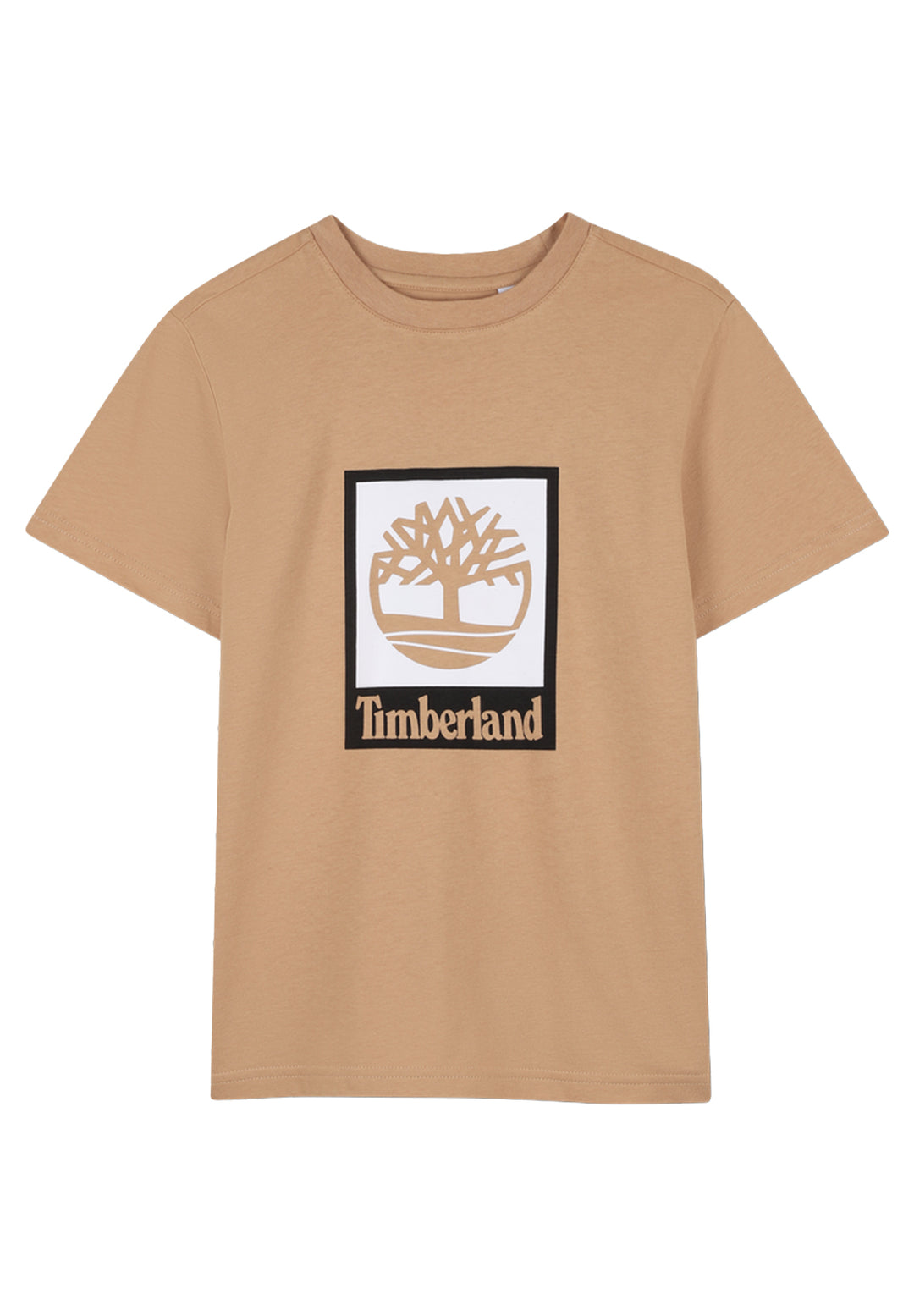 Brown t-shirt for boys