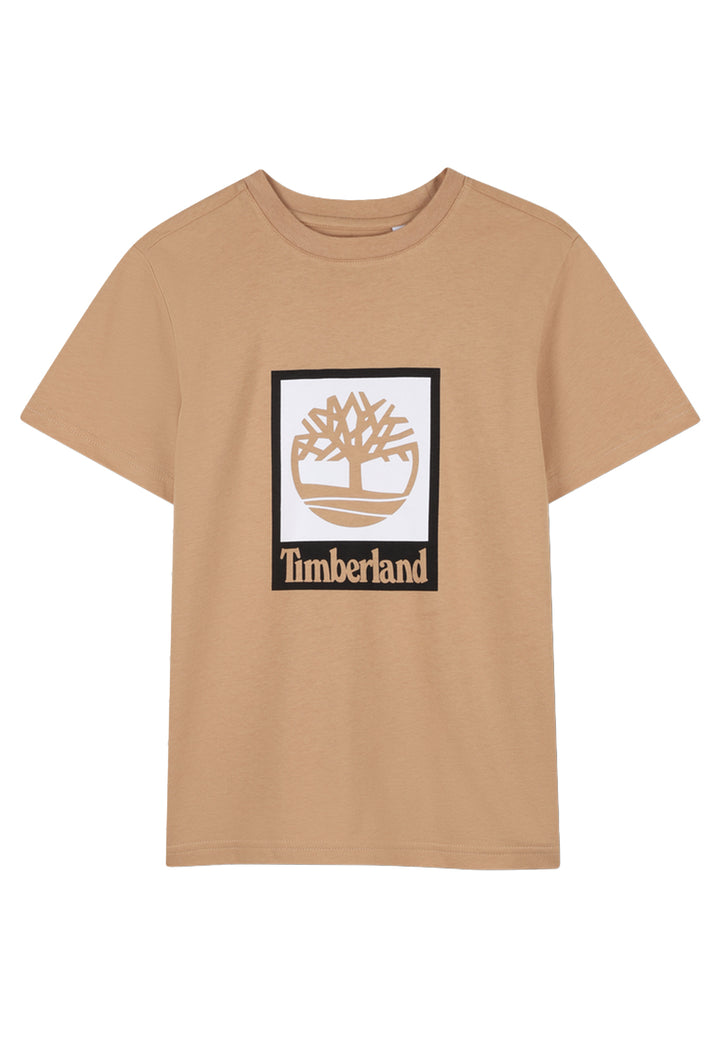 Brown t-shirt for boys